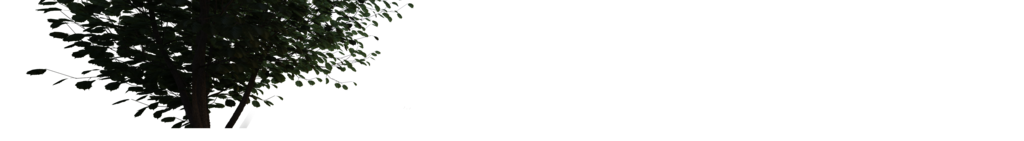 Cassita II Cassita II