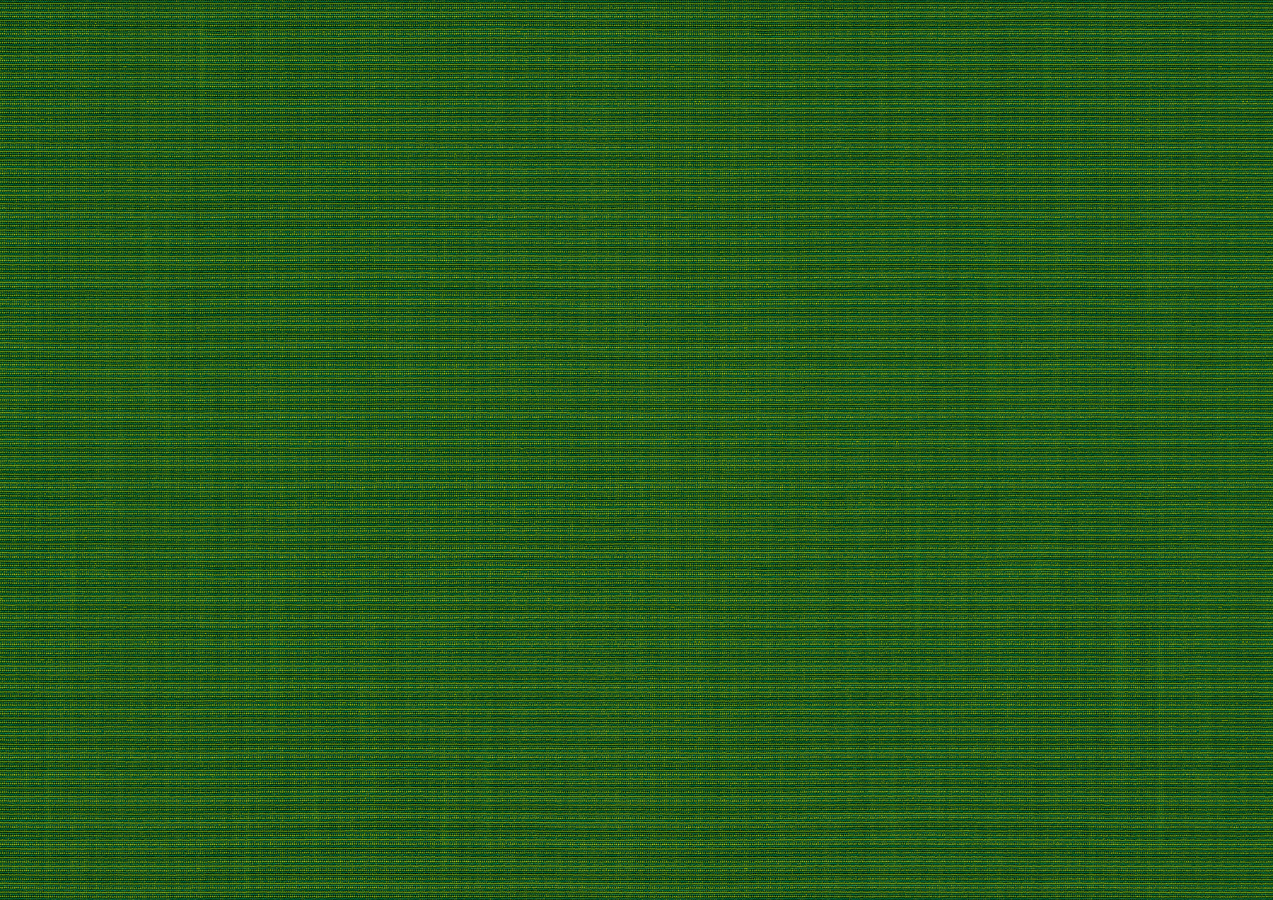 fern fern