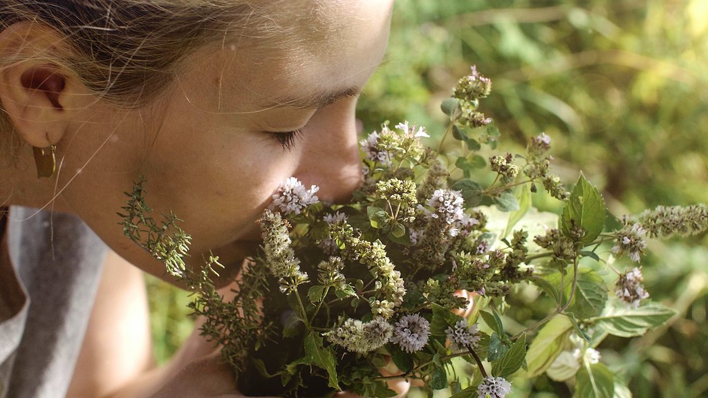 Een vrouw snuffelt naar een bosje met groene en paarse bloemen in een natuurlijke omgeving. Een vrouw snuffelt naar een bosje met groene en paarse bloemen in een natuurlijke omgeving.