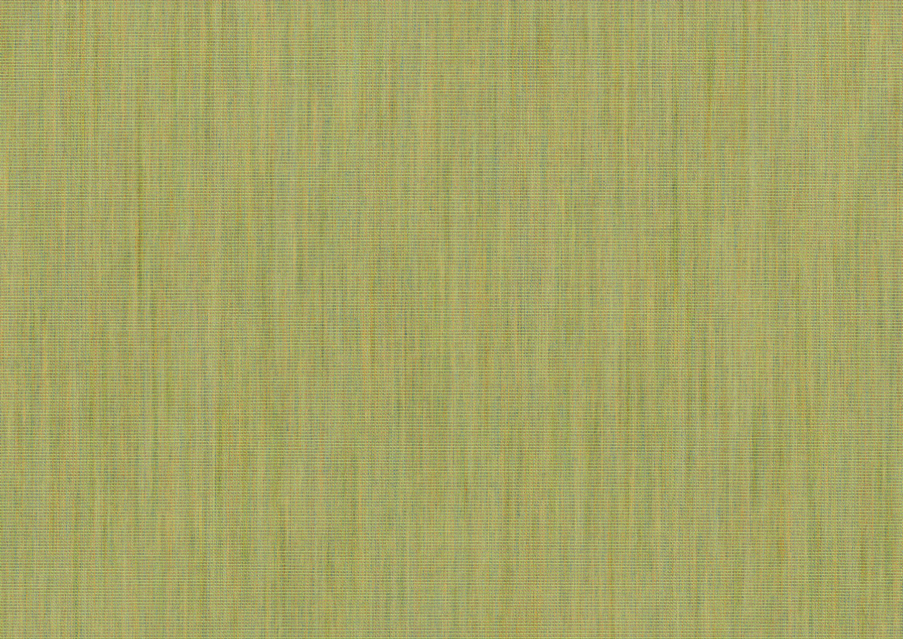 beachgrass beachgrass