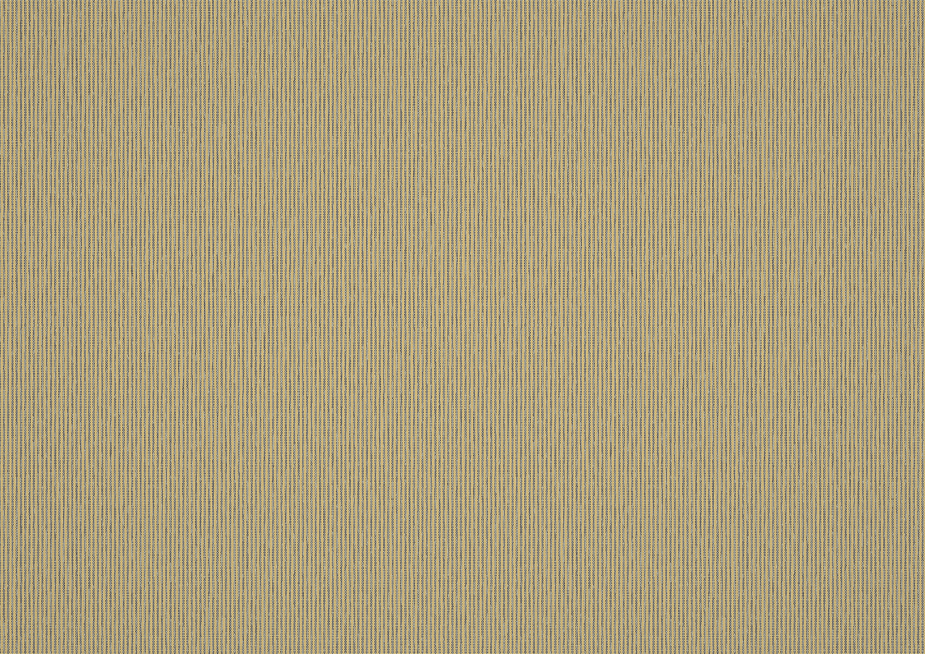 dune dune