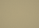 dune dune