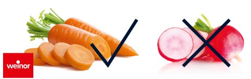 Drie oranje wortels met groene toppen en gesneden schijven, naast een gemarkeerde radijs.